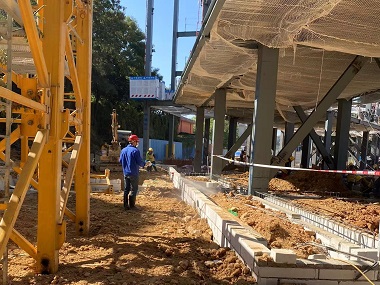 罗村杀灭白蚁机构新建房屋基础该怎么预防白蚁